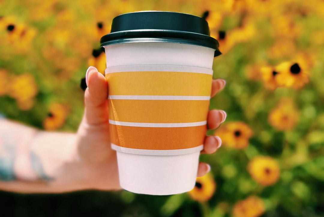 Someone holding a coffee cup in front of a field of flowers.